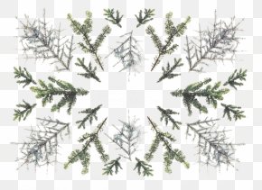 Shading Plant - Christmas Card Greeting Card Graphic Design PNG