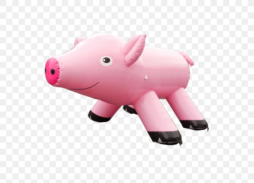 Pig Airquee Ltd Inflatable Snout, PNG, 591x591px, Pig, Airquee Ltd, Discounts And Allowances, Inflatable, Mammal Download Free