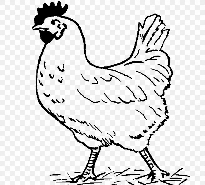 black and white chicken clipart