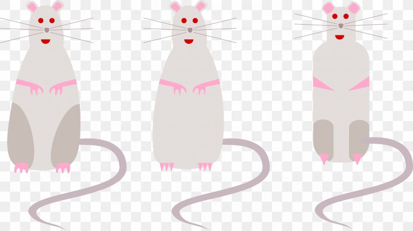 Laboratory Rat Brown Rat Mouse Rodent Clip Art, PNG, 2400x1343px, Laboratory Rat, Black Rat, Brown Rat, Carnivoran, Cat Download Free