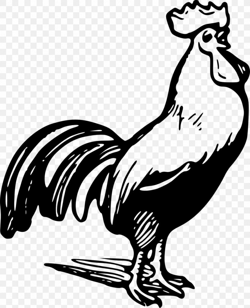 Plymouth Rock Chicken Rooster Black And White Clip Art, PNG, 958x1180px, Plymouth Rock Chicken, Art, Artwork, Beak, Bird Download Free