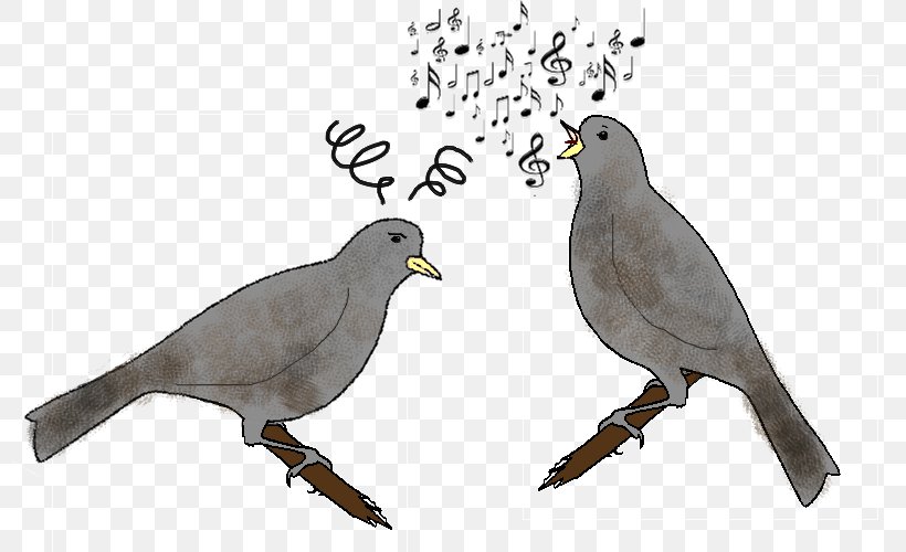 Bird Vocalization Columbidae Chez Les Oiseaux Singing, PNG, 810x500px, Bird, American Sparrows, Beak, Bird Vocalization, Chez Les Oiseaux Download Free