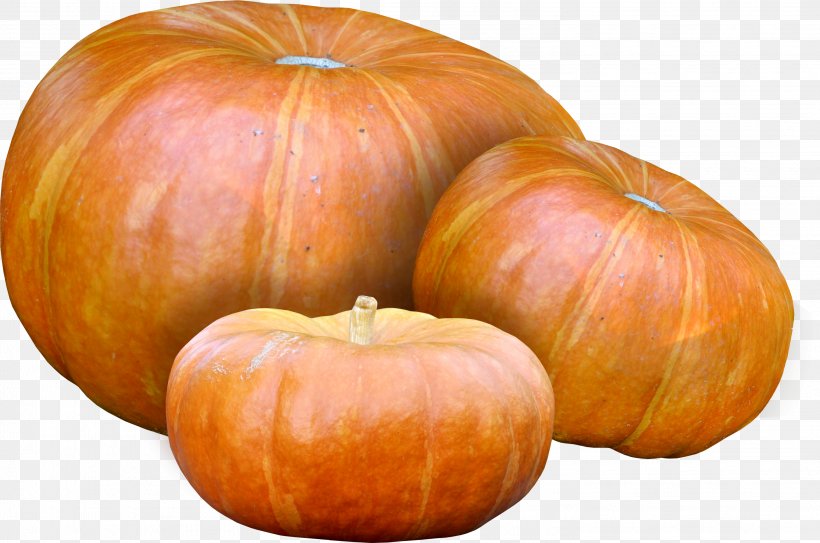 Calabaza Pumpkin Winter Squash Vegetable, PNG, 2914x1932px, Calabaza, Commodity, Cucumber Gourd And Melon Family, Cucurbita, Cucurbita Maxima Download Free