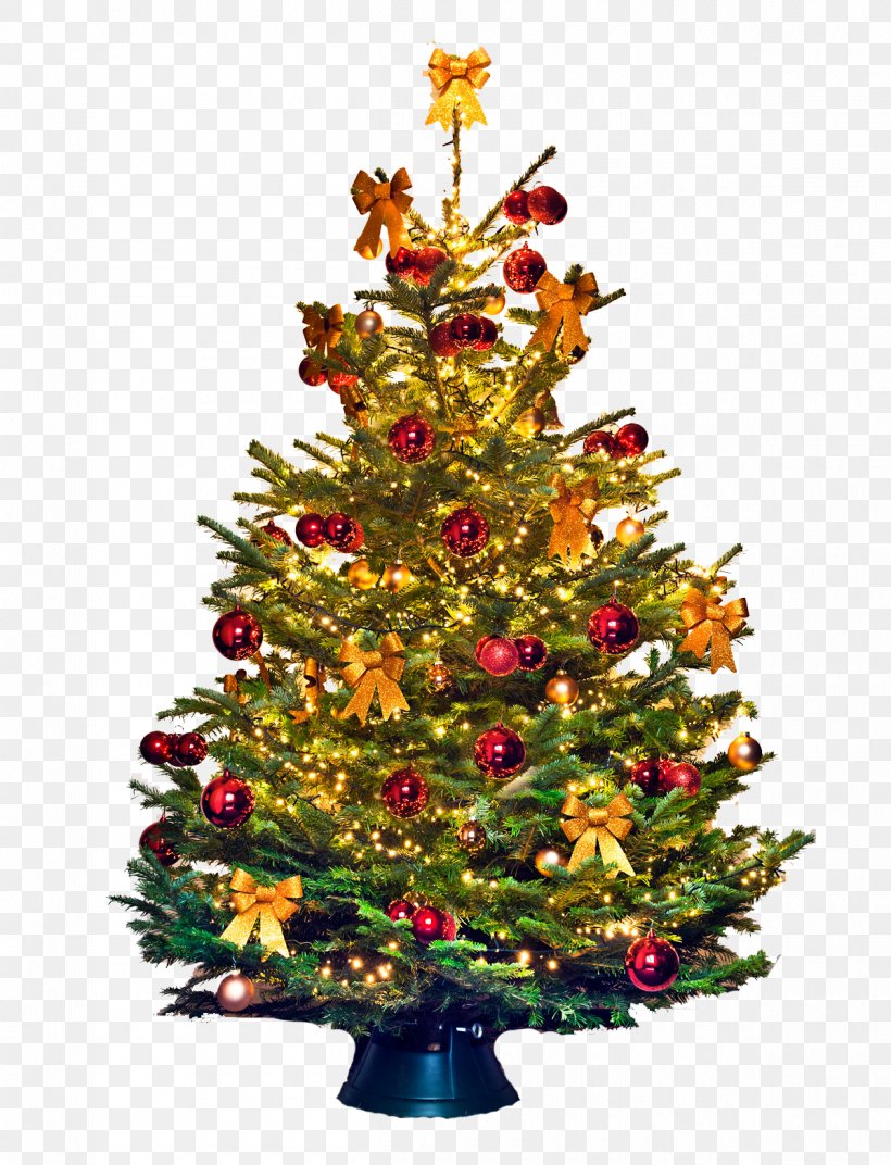 Christmas Tree Nordmann Fir Christmas Day Tree-topper Blue Spruce, PNG, 1200x1569px, Christmas Tree, Blue Spruce, Bombka, Christmas, Christmas Day Download Free