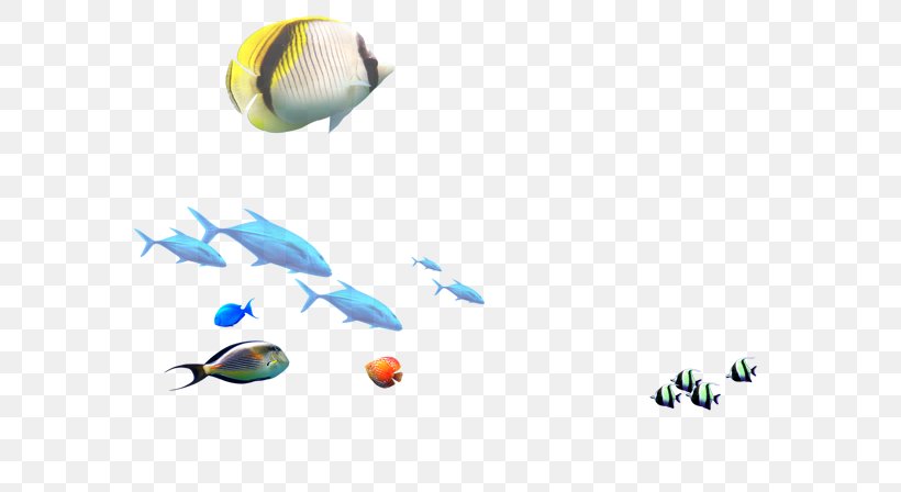 Fish Transparency And Translucency, PNG, 811x448px, 3d Computer Graphics, Fish, Gratis, Highdefinition Television, Lightemitting Diode Download Free