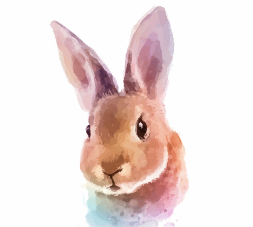 White Rabbit Watercolor Painting Royalty-free, PNG, 906x813px, White Rabbit, Domestic Rabbit, Drawing, Easter Bunny, Hare Download Free