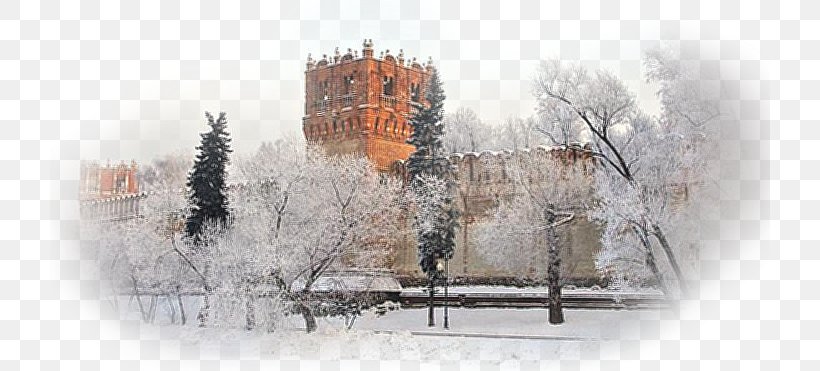 Building Tree Winter, PNG, 720x371px, Building, Blizzard, Freezing, Frost, Geological Phenomenon Download Free