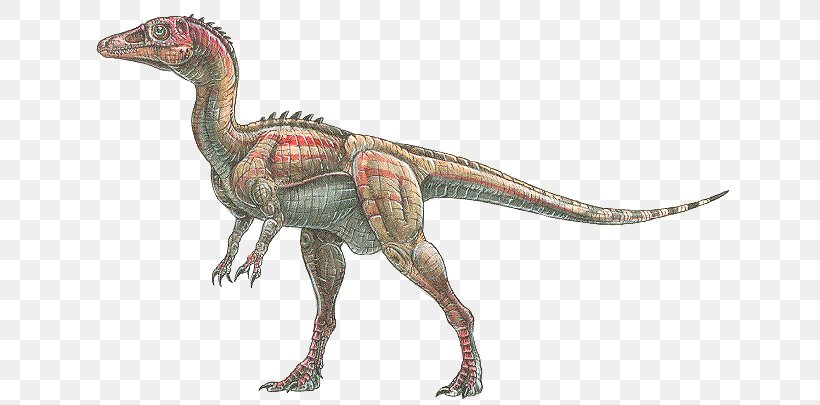 Eoraptor Lunensis Velociraptor Dinosaur Tyrannosaurus Alamosaurus, PNG, 646x405px, Eoraptor Lunensis, Alamosaurus, Animal, Buitreraptor, Clan Macleod Download Free