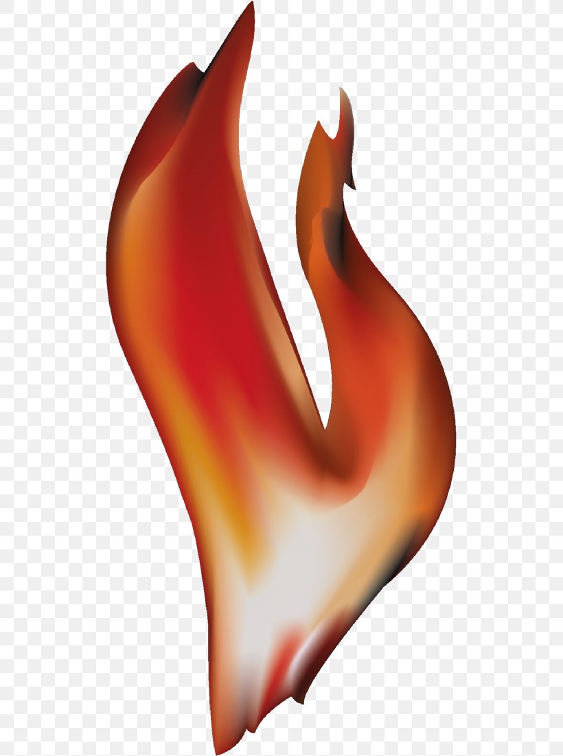 Flame Combustion Fire Clip Art, PNG, 512x1101px, Watercolor, Cartoon, Flower, Frame, Heart Download Free