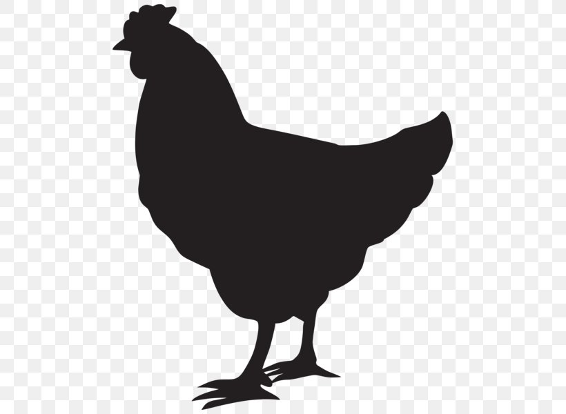 Ayam Cemani Silhouette Clip Art, PNG, 503x600px, Ayam Cemani, Beak, Bird, Black And White, Chicken Download Free