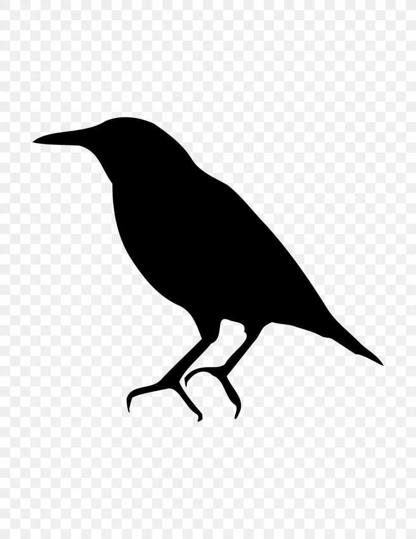 Bird Common Starling American Crow Silhouette, PNG, 1855x2400px, Bird, American Crow, Animal, Beak, Black And White Download Free