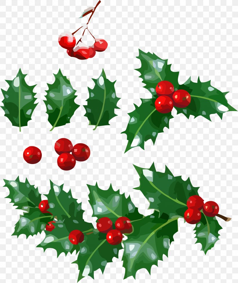 Christmas, PNG, 2496x2962px, Christmas, American Holly, Chinese Hawthorn, Currant, Flower Download Free