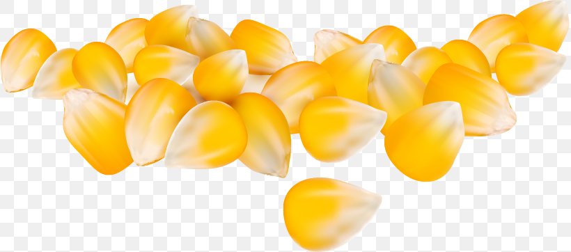 Maize Corn Kernel Caryopsis, PNG, 817x362px, Maize, Animation, Cartoon, Caryopsis, Cereal Download Free