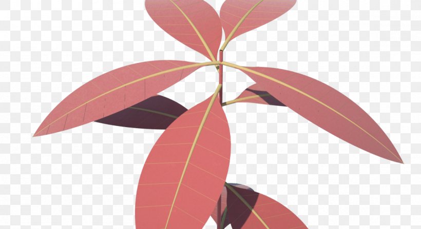 Petal Pink M Leaf, PNG, 1153x629px, Petal, Flora, Flower, Leaf, Pink Download Free
