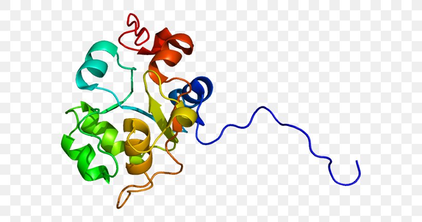 Protein–protein Interaction USP8 Ubiquitin Acid Hydrolase, PNG, 633x432px, Watercolor, Cartoon, Flower, Frame, Heart Download Free