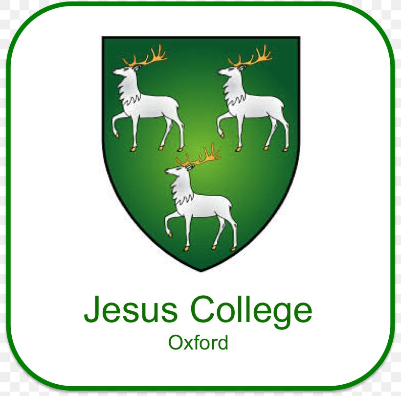 Harris Manchester College Exeter College Corpus Christi College, Oxford New College, Oxford Jesus College, PNG, 810x809px, Harris Manchester College, Area, Brand, College, Corpus Christi College Oxford Download Free