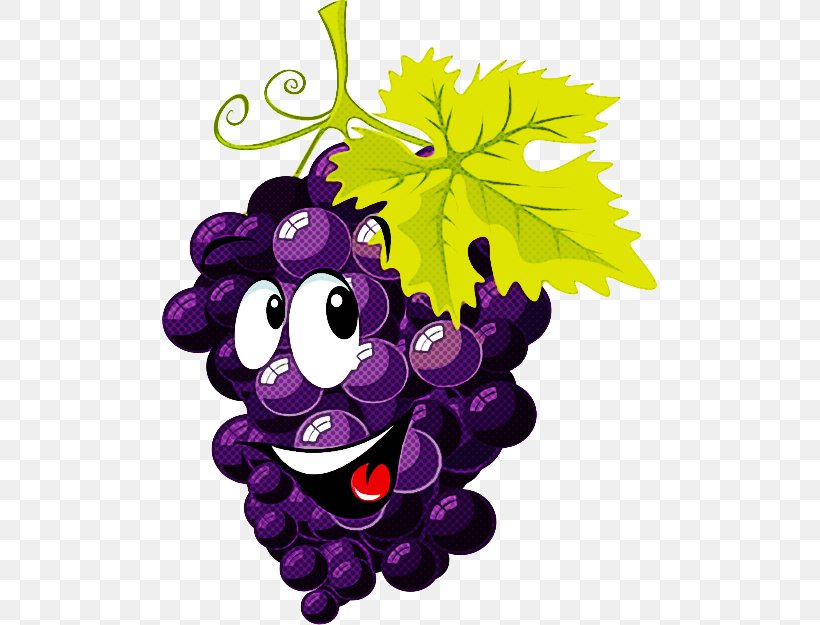 Grape Grapevine Family Leaf Vitis Purple, PNG, 495x625px, Grape, Cartoon, Grape Leaves, Grapevine Family, Leaf Download Free