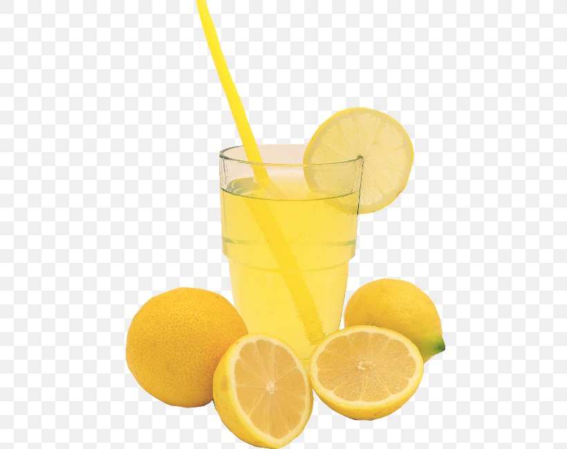 Lemon Juice Limeade Cocktail Garnish, PNG, 480x649px, Lemon Juice, Citric Acid, Cocktail, Cocktail Garnish, Drink Download Free