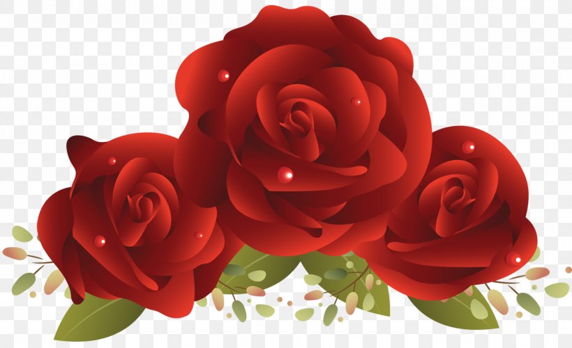 Rose Red, PNG, 1280x782px, Rose, Birthday, Cut Flowers, Floral Design, Floribunda Download Free