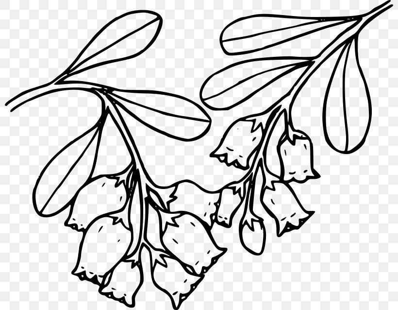 Bearberry Coloring Book Clip Art, PNG, 800x638px, Bearberry, Arctostaphylos, Area, Art, Artwork Download Free
