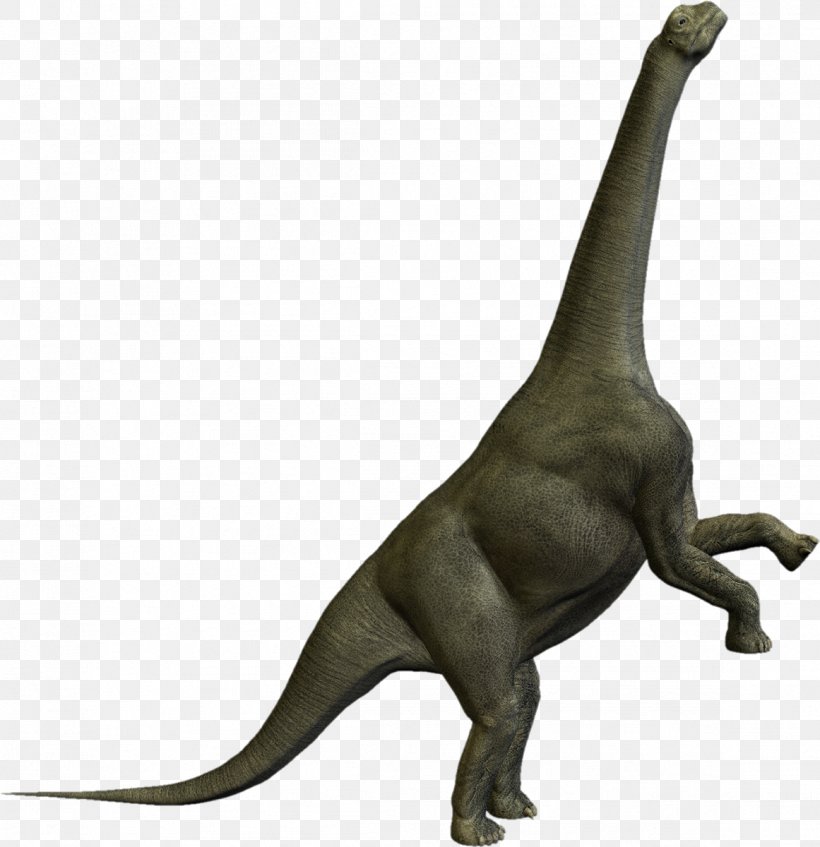 Camarasaurus Tyrannosaurus Prehistory Dinosaurios Herbivoros, PNG, 1161x1200px, Camarasaurus, Camarasauridae, Dinosaur, Fandom, Fauna Download Free