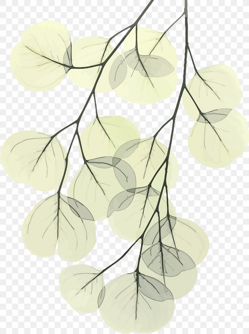 Leaf Branch Plant Line Tree, PNG, 2236x3000px, Bodhi Leaf, Bodhi, Bodhi Day, Branch, Leaf Download Free