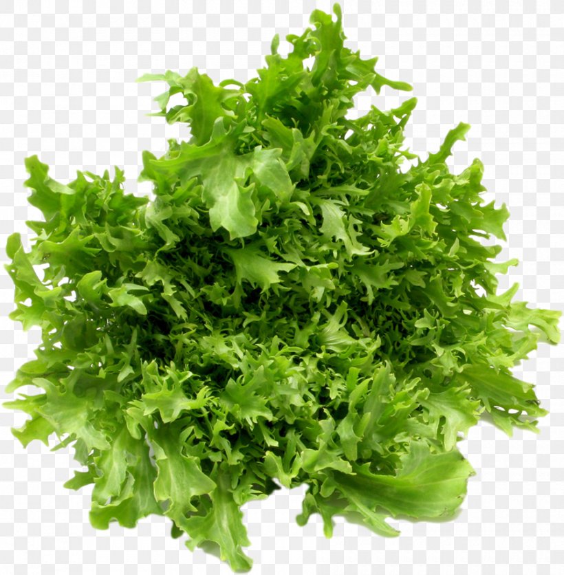 Leaf Vegetable Salad Fruit Lettuce, PNG, 900x918px, Vegetable, Artichoke, Carrot, Coriander, Endive Download Free