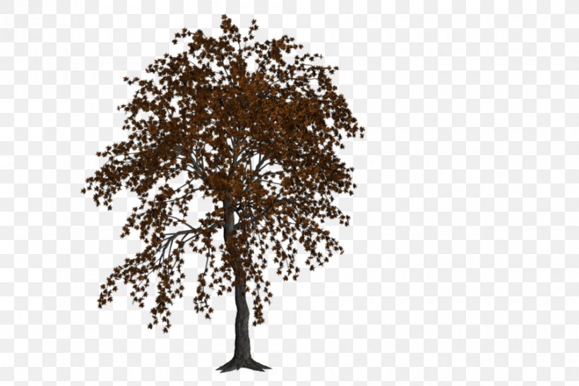 Twig Tree Oak Art, PNG, 900x601px, Twig, Art, Autumn, Birch, Branch Download Free