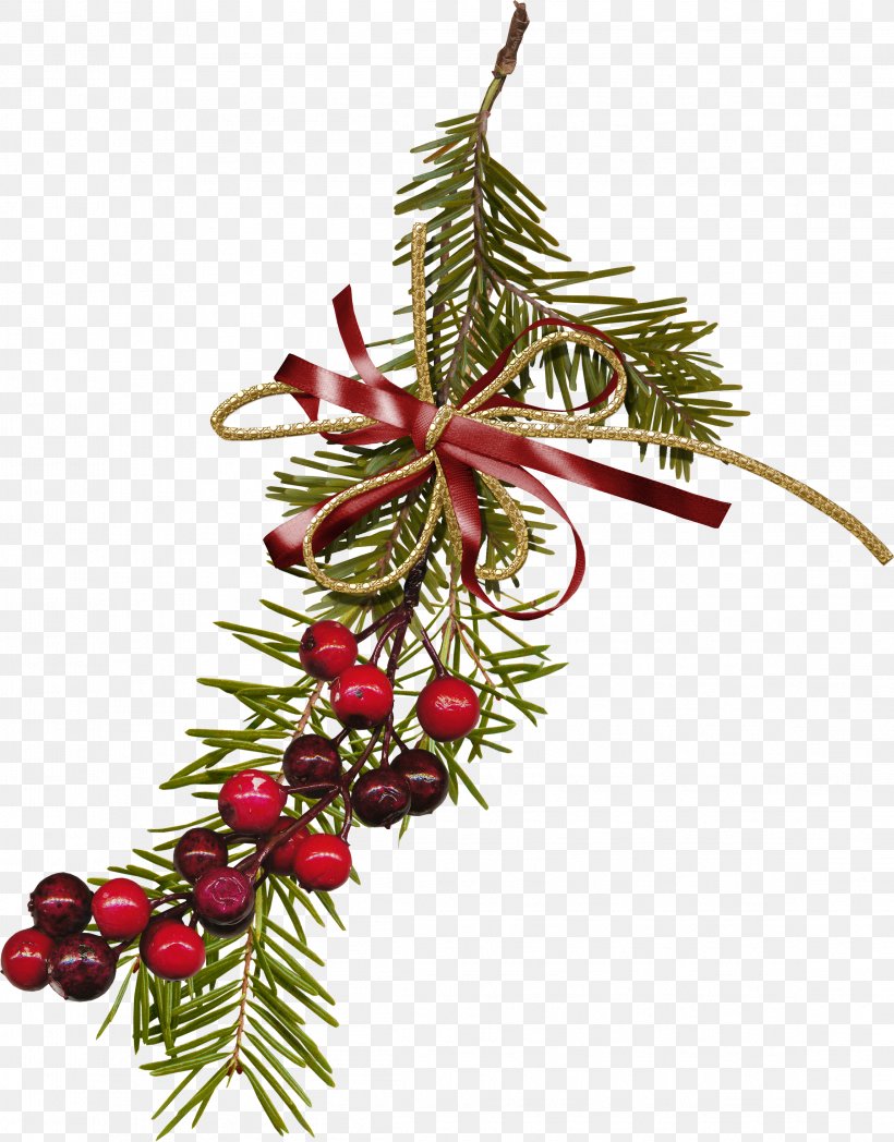 Christmas Decoration Christmas Ornament Christmas Tree, PNG, 2294x2933px, Christmas Decoration, Berry, Branch, Christmas, Christmas Ornament Download Free