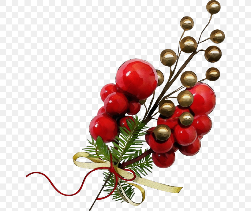 Christmas Decoration, PNG, 650x690px, Watercolor, Berry, Branch, Christmas Decoration, Christmas Tree Download Free