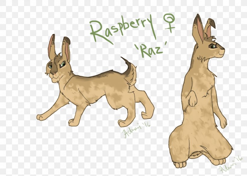 Dog Breed Domestic Rabbit Hare Macropods, PNG, 1008x720px, Dog Breed, Breed, Carnivoran, Cartoon, Dog Download Free