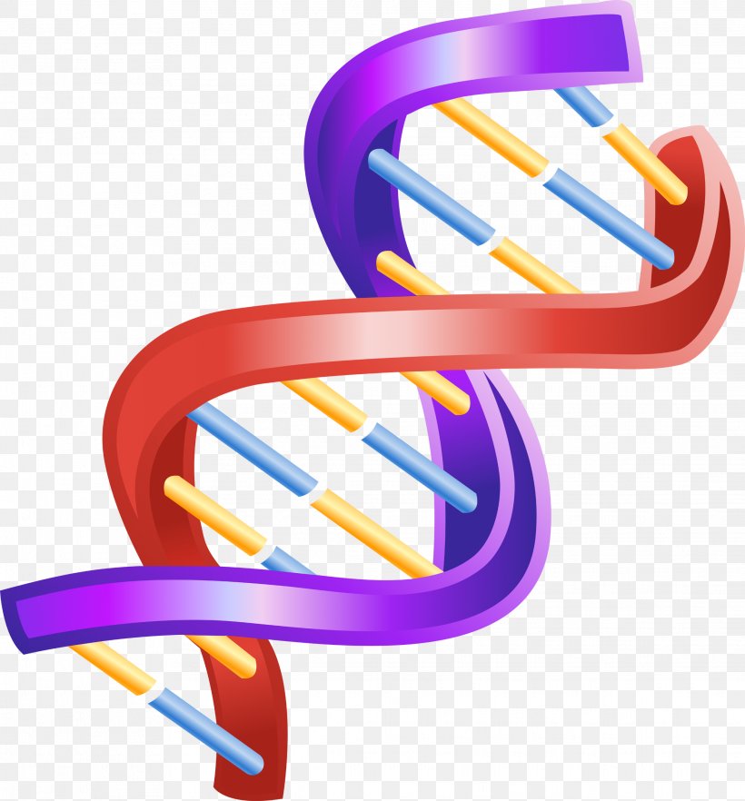 Nucleic Acid Double Helix The Double Helix: A Personal Account Of The Discovery Of The Structure Of DNA Clip Art, PNG, 2231x2400px, Nucleic Acid Double Helix, Adna, Chromosome, Dna, Genetics Download Free
