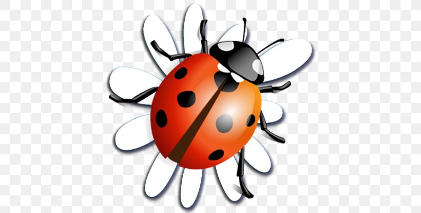 Beetle Ladybird Clip Art, PNG, 414x414px, Beetle, Insect, Invertebrate, Ladybird, Pest Download Free