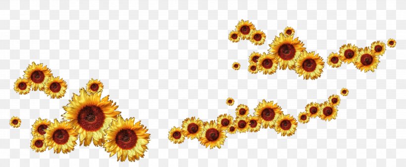 Common Sunflower Animation Clip Art, PNG, 2985x1230px, Common Sunflower, Animation, Autumn, Designer, Flower Download Free