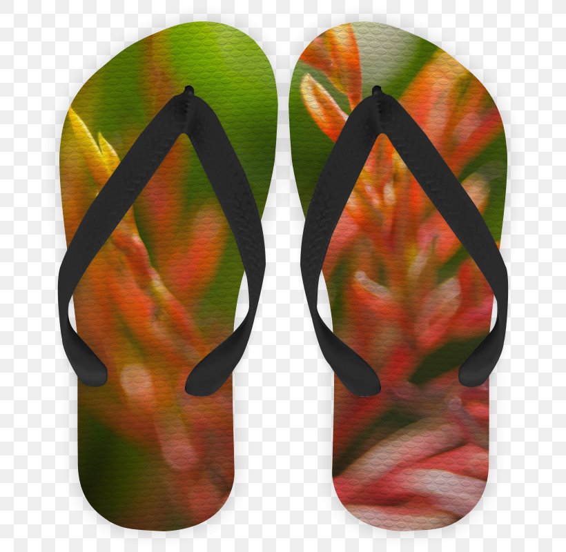 Flip-flops Shoe Leaf, PNG, 800x800px, Flipflops, Flip Flops, Footwear, Leaf, Petal Download Free