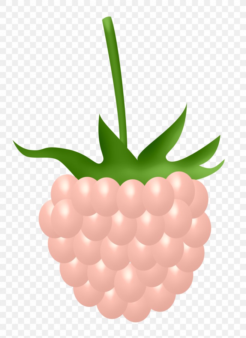 Frutti Di Bosco Red Raspberry Icon, PNG, 1399x1923px, Raspberry, Berry, Food, Fruit, Pattern Download Free