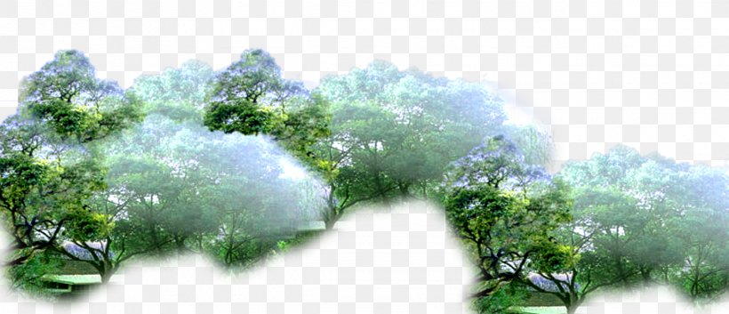 Branch Amazon Rainforest Tree, PNG, 2268x978px, Branch, Amazon Rainforest, Flora, Flower, Forest Download Free