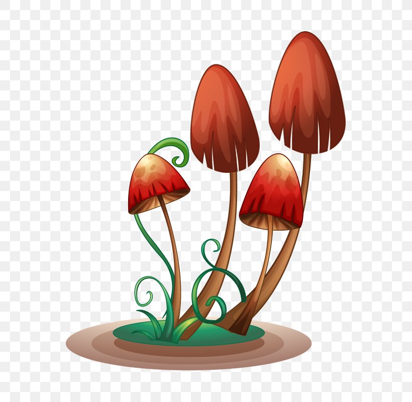 Edible Mushroom Mushroom Poisoning Illustration, PNG, 800x800px, Edible Mushroom, Amanita Muscaria, Art, Boletus, Common Mushroom Download Free