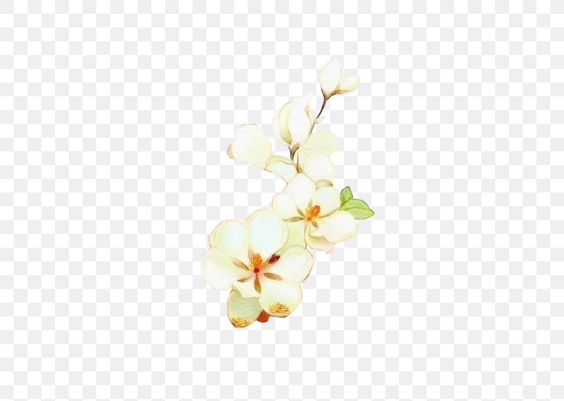Flower Floral Design Petal, PNG, 506x583px, Flower, Blossom, Cartoon, Cut Flowers, Designer Download Free