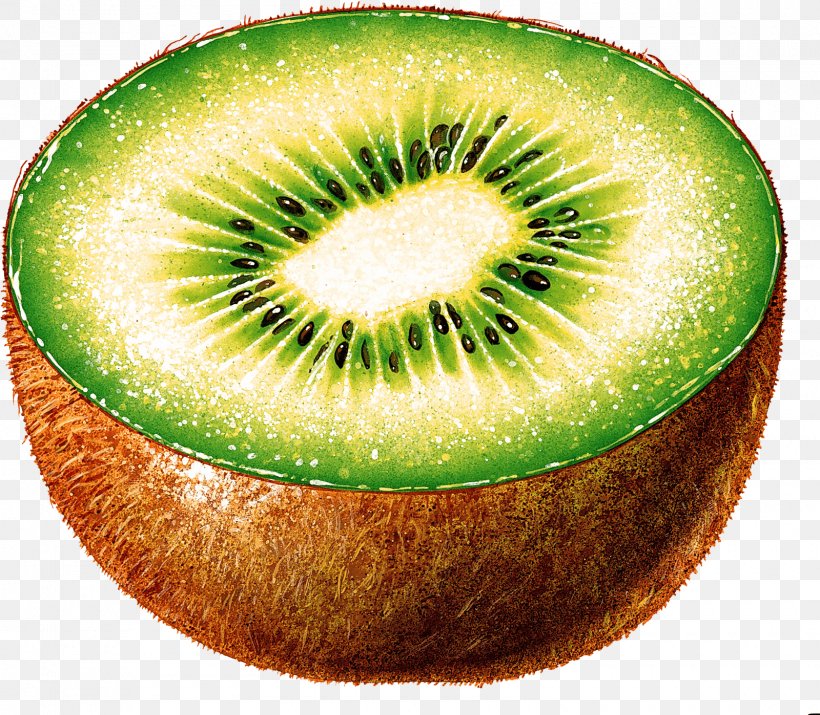 Kiwifruit Clip Art, PNG, 1600x1397px, Kiwifruit, Food, Fruit, Galia, Kiwi Download Free