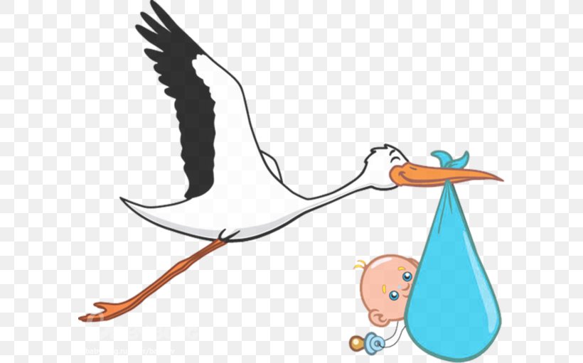 Paris Bird Infant Ciconia Pregnancy, PNG, 600x511px, White Stork, Art, Beak, Bird, Boy Download Free