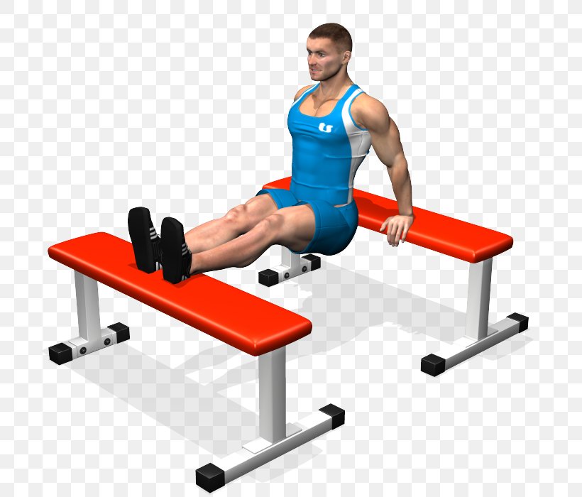 Shoulder Triceps Brachii Muscle Lying Triceps Extensions Dip, PNG, 700x700px, Shoulder, Arm, Balance, Bench, Bench Press Download Free