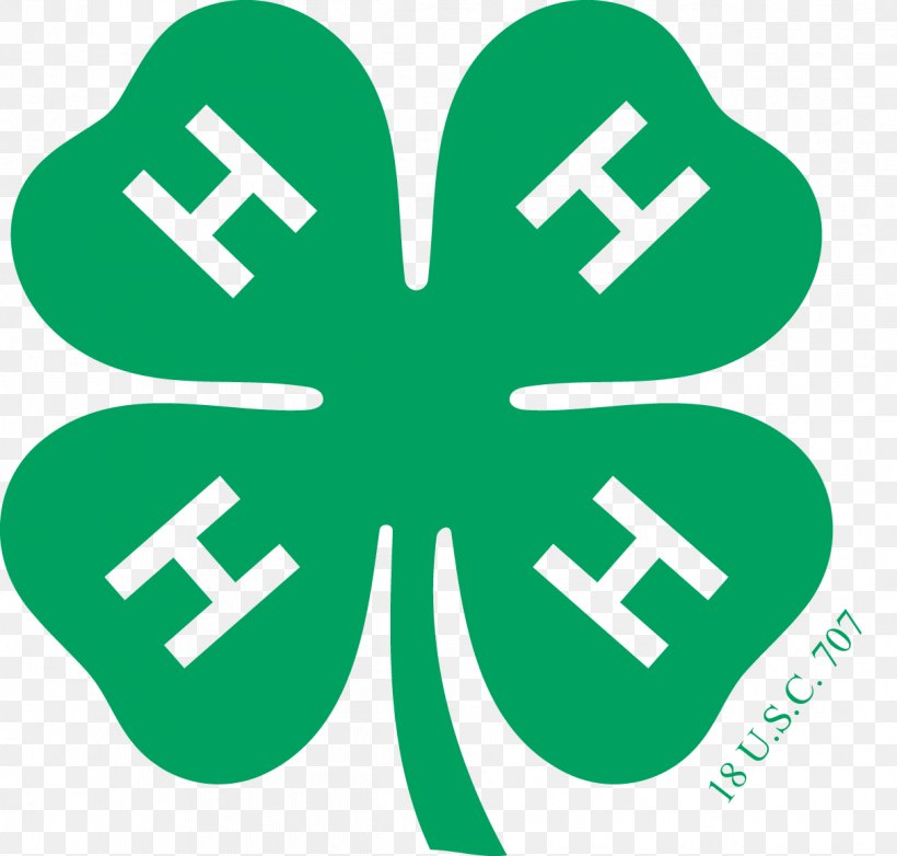 4-H United States Salado 4H Club Meeting Cooperative State Research, Education, And Extension Service Organization, PNG, 1213x1158px, United States, Agriculture, Area, Business, Fair Download Free