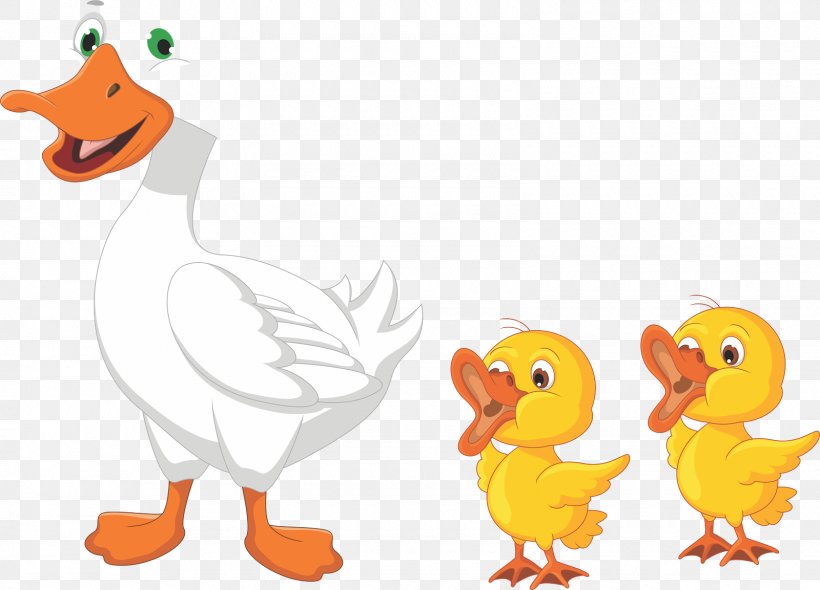 Duck Drawing Cartoon Goose, PNG, 1600x1153px, Duck, Animal Figure, Animation, Beak, Bird Download Free