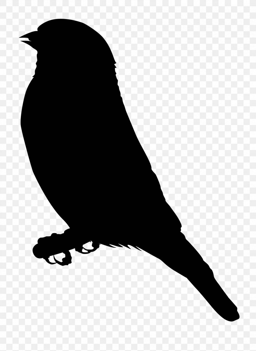 European Goldfinch Clip Art, PNG, 1751x2400px, Finch, Beak, Bird, Black And White, Drawing Download Free