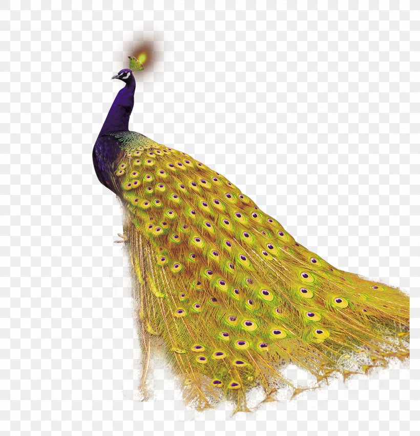 Mobile App Android Peafowl Icon, PNG, 2910x3020px, Android, App Store, Google Play, Microsoft Store, Peafowl Download Free