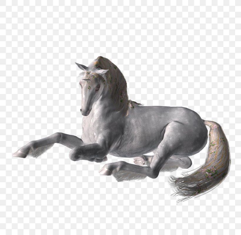 Mustang Stallion Mane Freikörperkultur Legendary Creature, PNG, 800x800px, Mustang, Horse, Horse Like Mammal, Legendary Creature, Mane Download Free