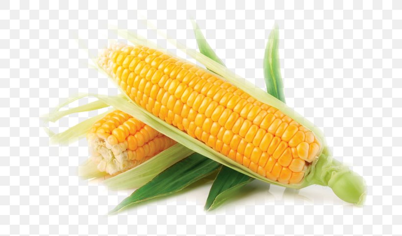 Corn On The Cob Sweet Corn Maize Vegetable Corn Kernel, PNG, 685x483px, Corn On The Cob, Candy Corn, Cereal, Commodity, Corn Kernel Download Free