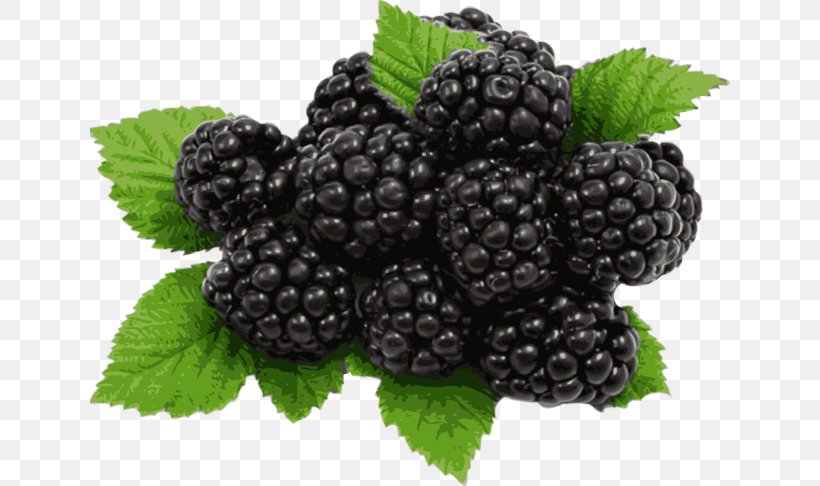 Juice Blackberry Pie Organic Food Fruit, PNG, 640x486px, Juice, Aggregate Fruit, Berry, Bilberry, Blackberry Download Free