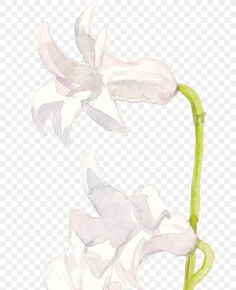 /m/02csf Drawing Product Cut Flowers Flowering Plant, PNG, 726x1009px, M02csf, Cut Flowers, Drawing, Flower, Flowering Plant Download Free